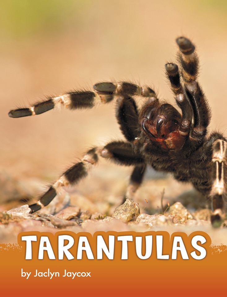 Tarantulas (Animals) book cover by Jaclyn Jaycox