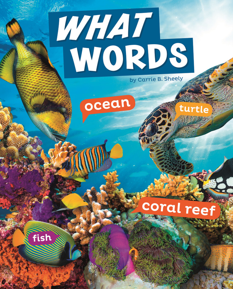 What Words (Word Play) book cover by Carrie B. Sheely