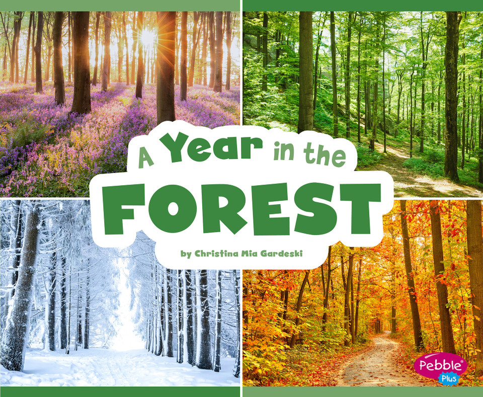A Year in the Forest (Season to Season) book cover by Christina Mia Gardeski