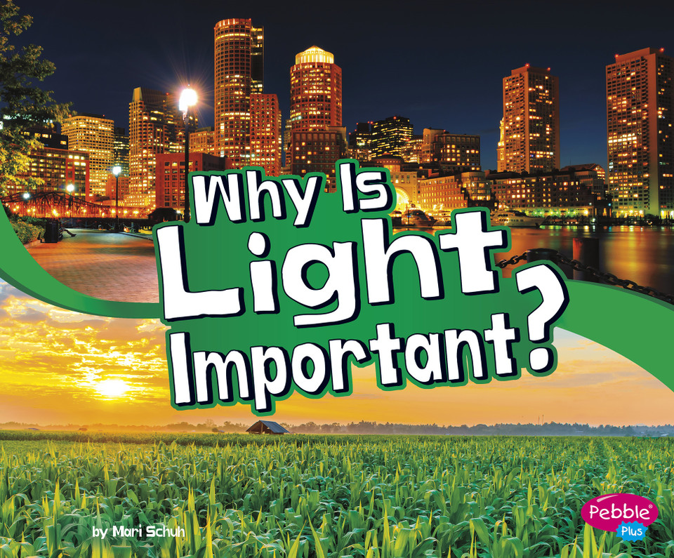Why Is Light Important? (Let's Look at Light) book cover by Mari Schuh