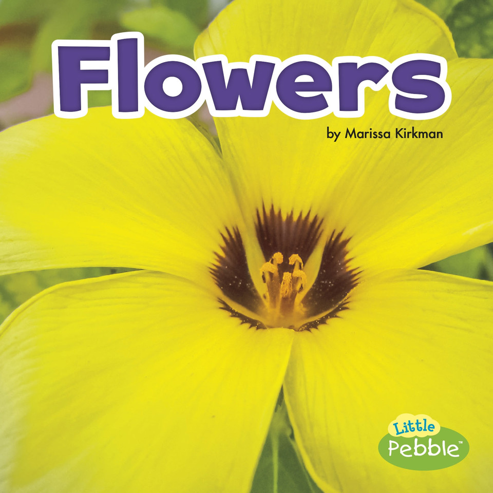 Flowers (Plant Parts) book cover by Marissa Kirkman