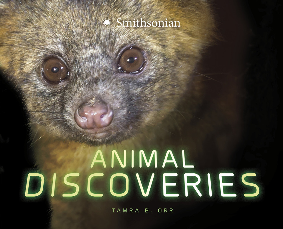 Animal Discoveries (Marvelous Discoveries) book cover by Tamra B. Orr