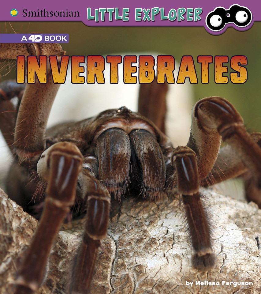 Invertebrates: A 4D Book (Little Zoologist) book cover by Melissa Ferguson