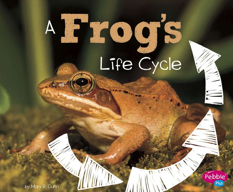 A Frog's Life Cycle (Explore Life Cycles) book cover by Mary R. Dunn