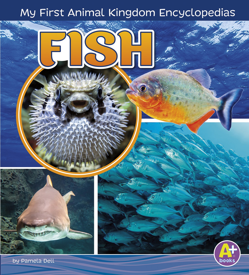 Fish (My First Animal Kingdom Encyclopedias) book cover by Lisa J. Amstutz