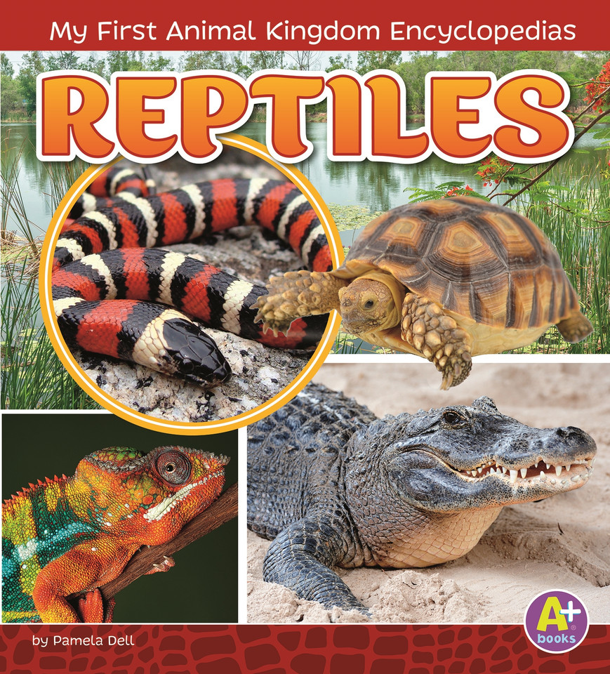 Reptiles (My First Animal Kingdom Encyclopedias) book cover by Janet Riehecky