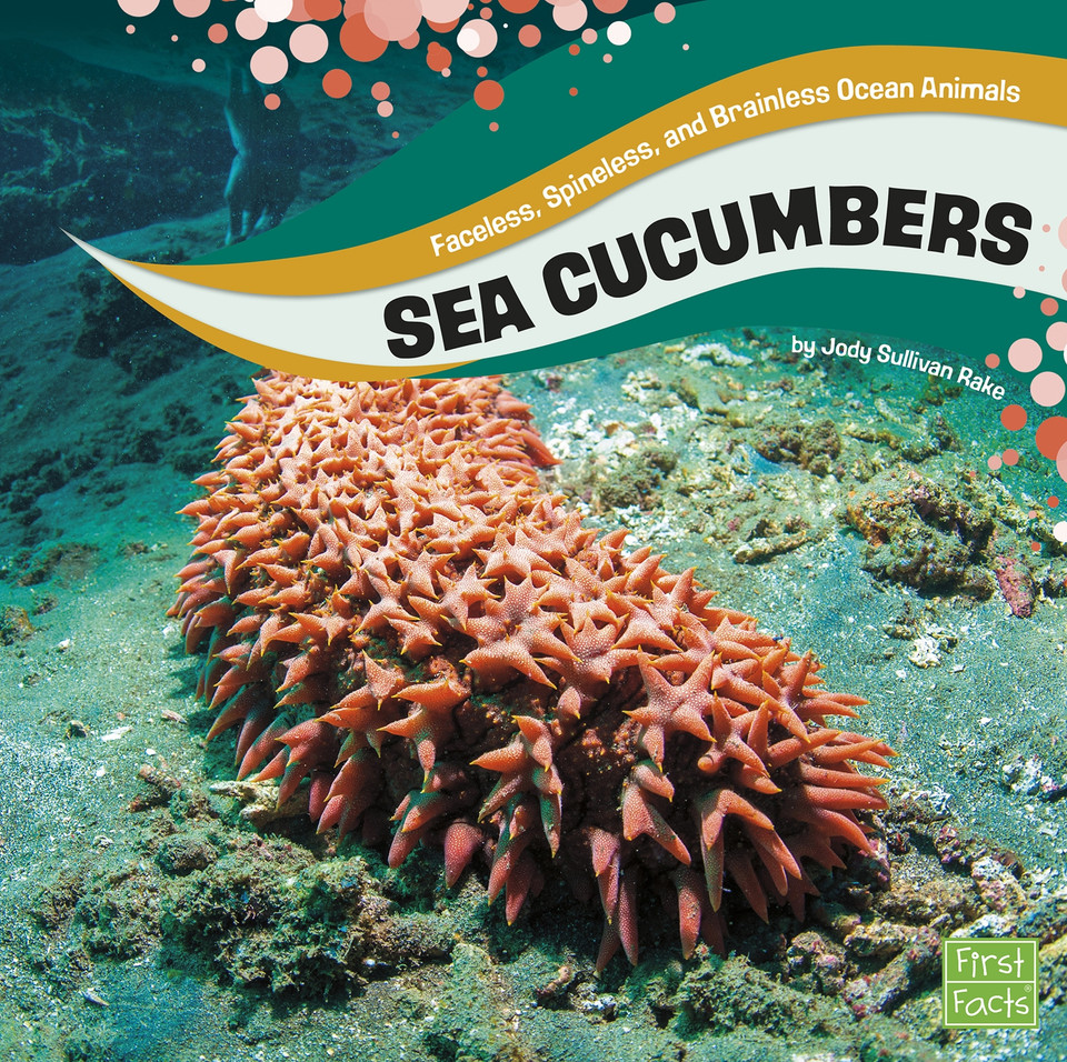 Sea Cucumbers (Faceless, Spineless, and Brainless Ocean Animals) book cover by Jody S. Rake