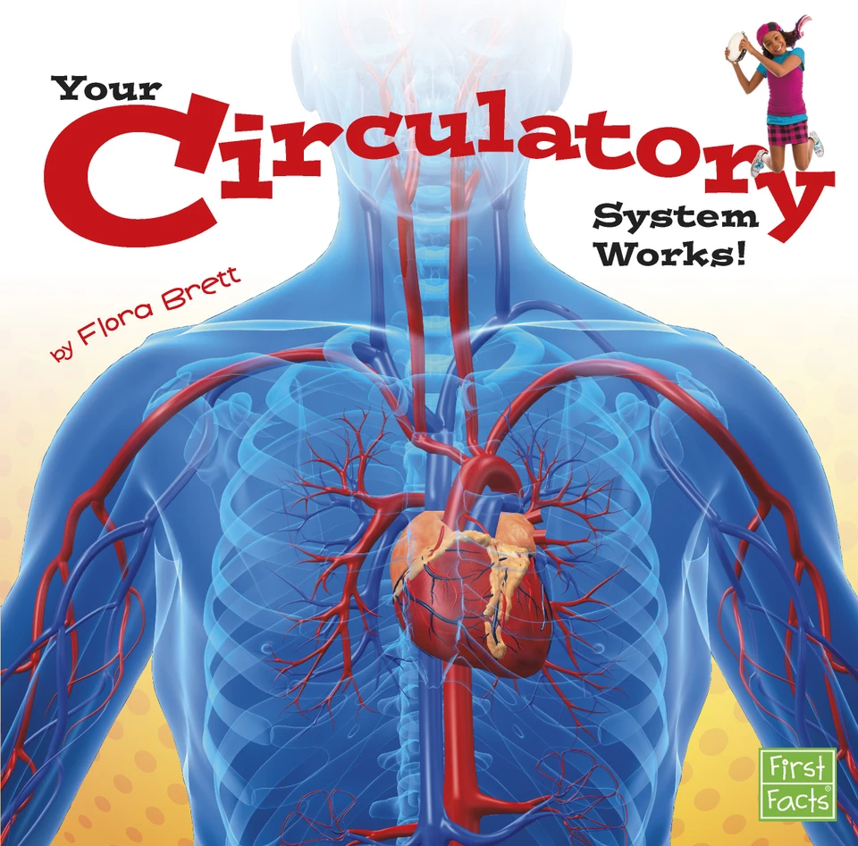 Your Circulatory System Works! (Your Body Systems) book cover by Flora Brett
