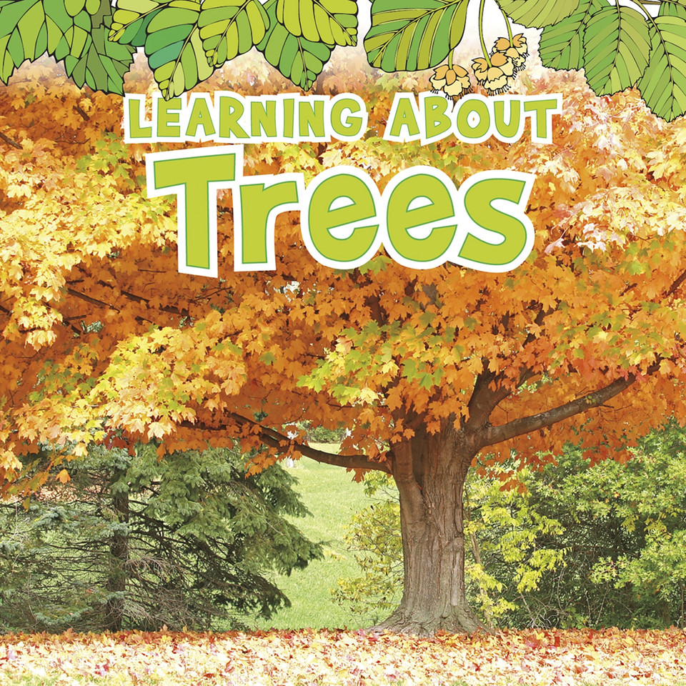 Learning About Trees (The Natural World) book cover by Catherine Veitch