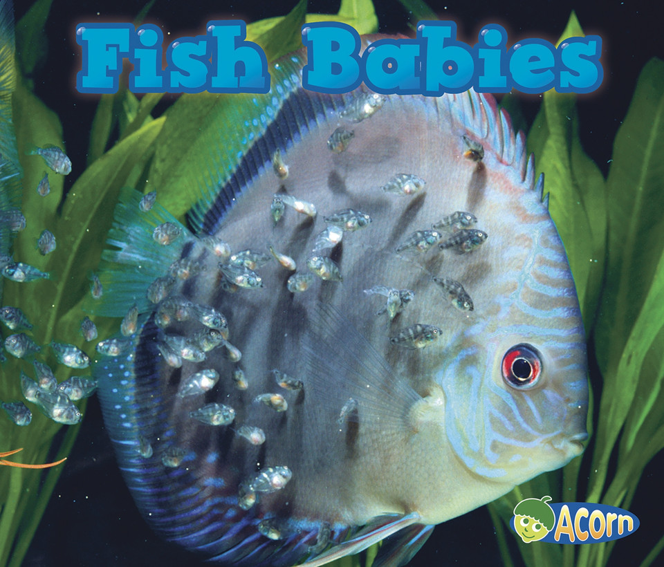 Fish Babies (Animal Babies) book cover by Catherine Veitch