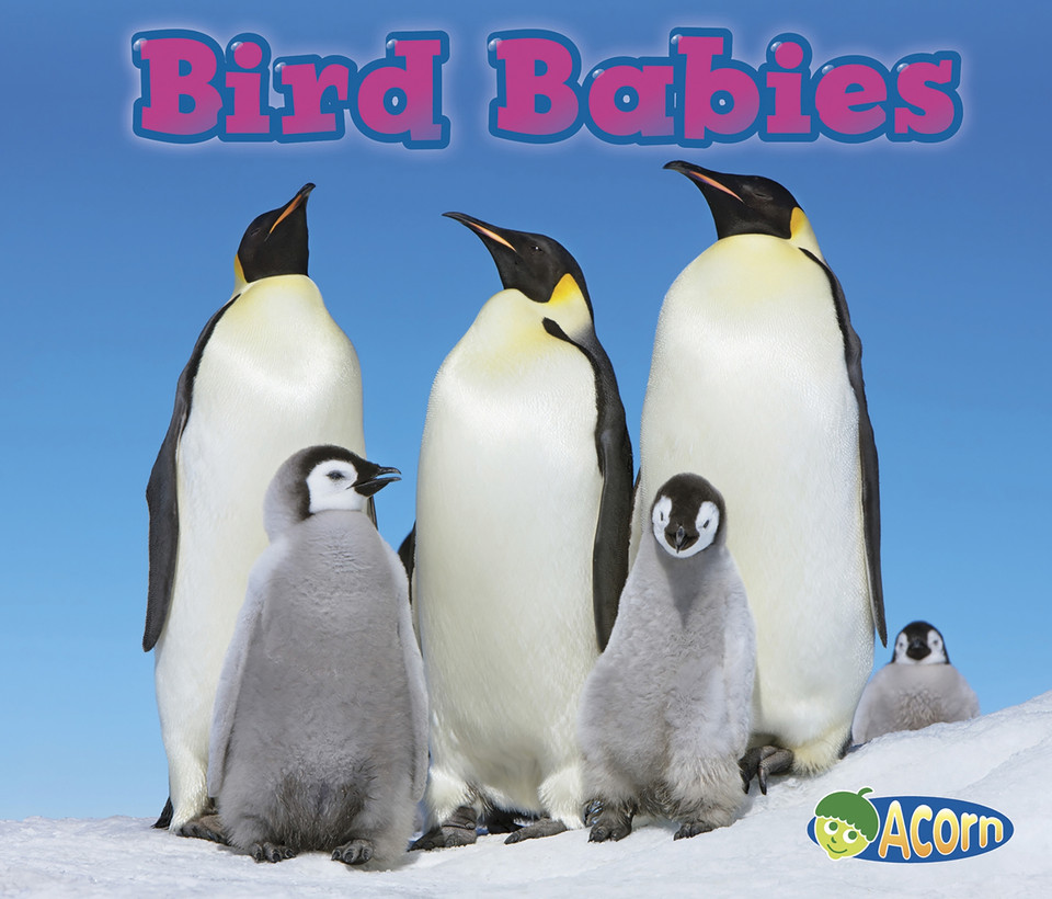Bird Babies (Animal Babies) book cover by Catherine Veitch