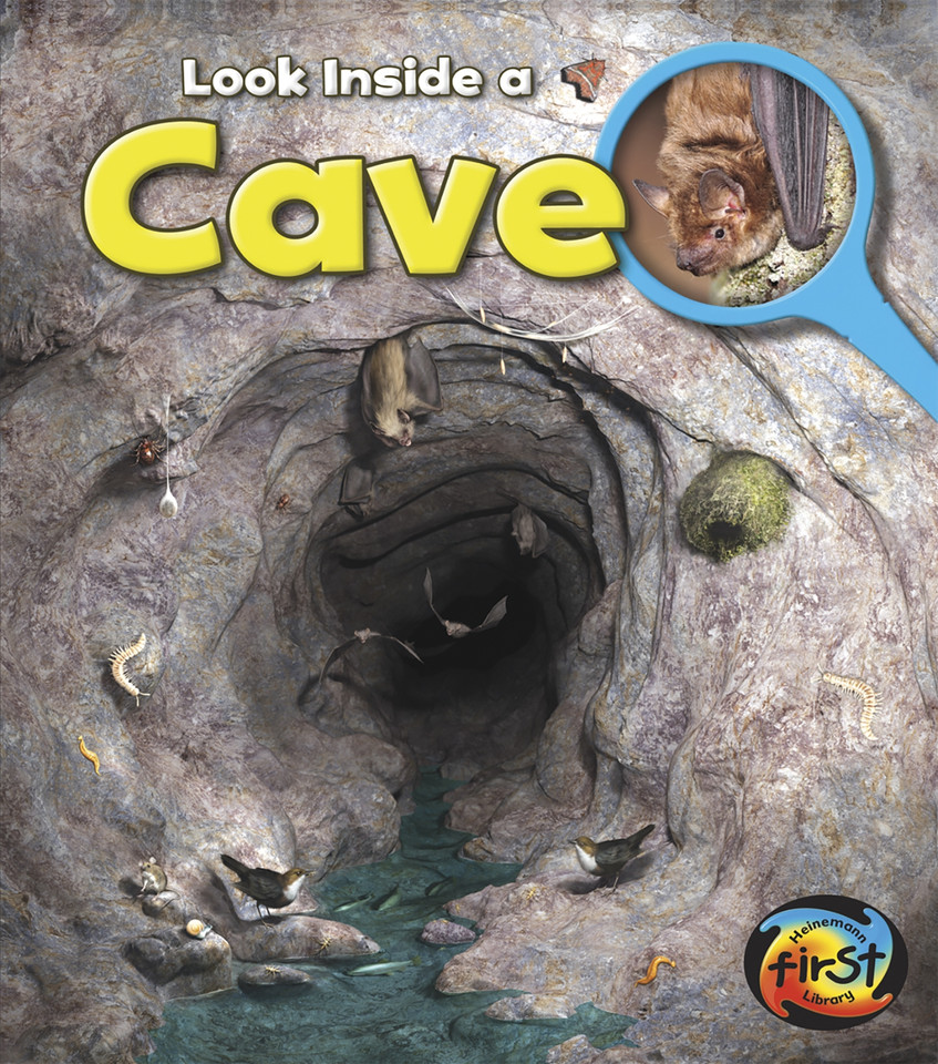 Cave: Look Inside (Look Inside) book cover by Richard Spilsbury