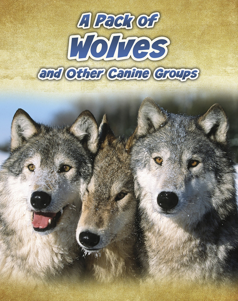 A Pack of Wolves: and Other Canine Groups (Animals in Groups) book cover by Anna Claybourne
