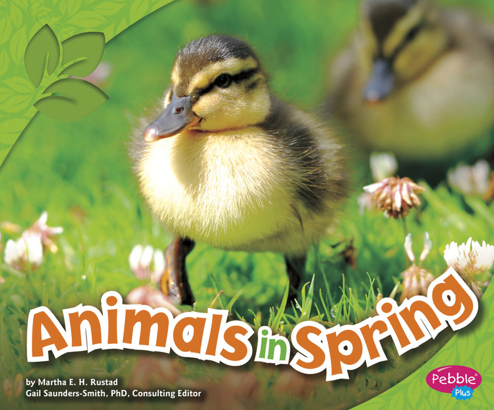 Animals in Spring (All about Spring) book cover by Martha E. H. Rustad