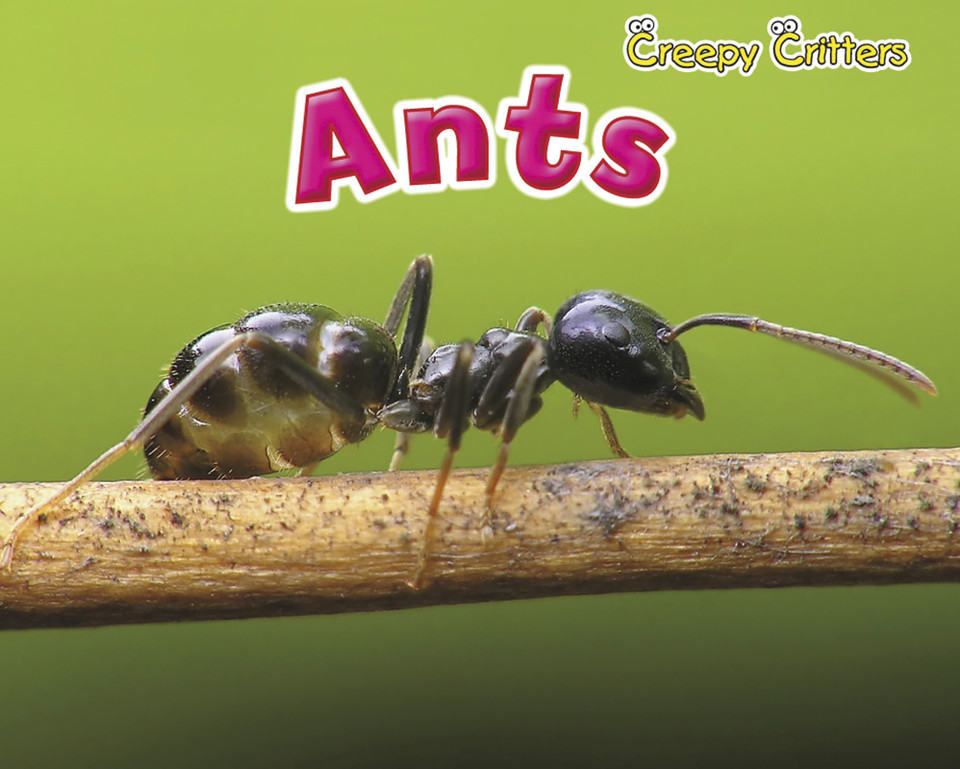 Ants (Creepy Critters) book cover by Rebecca Rissman
