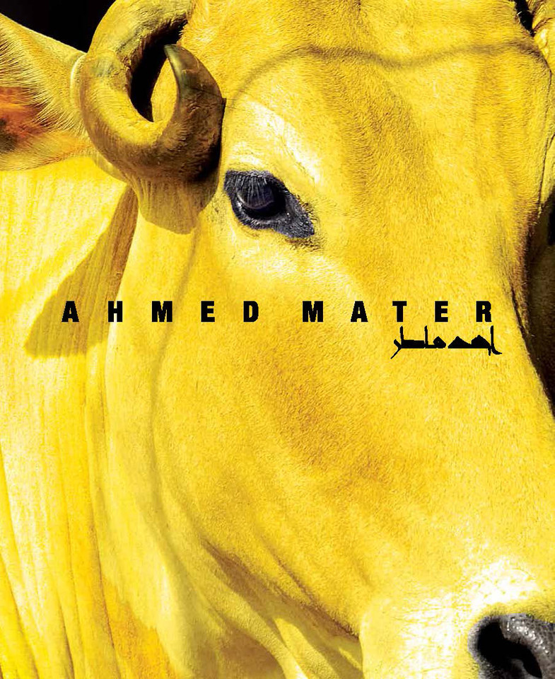 Ahmed Mater book cover by Ahmed Mater, Stephen Stapleton