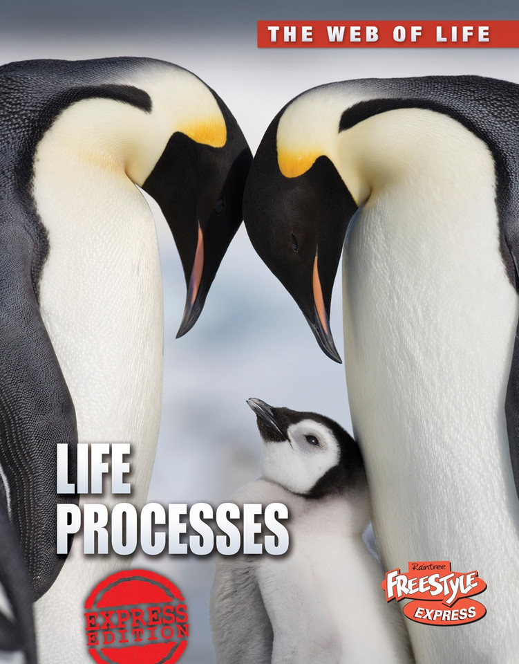 Life Processes (The Web of Life) book cover by Anna Claybourne