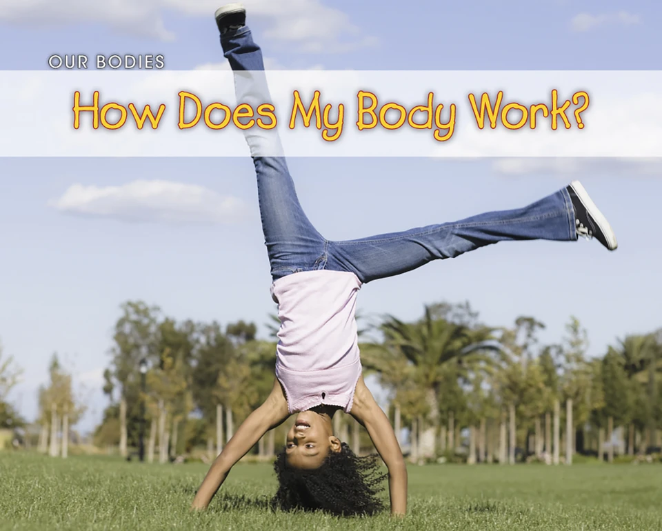 How Does Your Body Work? book cover by Charlotte Guillain