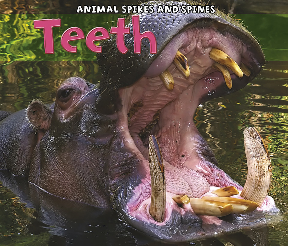 Teeth (Animal Spikes and Spines) book cover by Rebecca Rissman