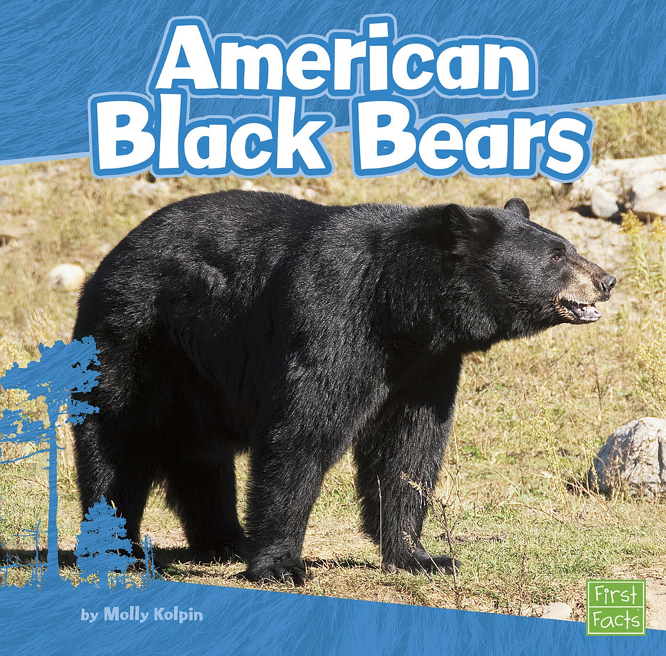 American Black Bears (Bears) book cover by Molly Kolpin