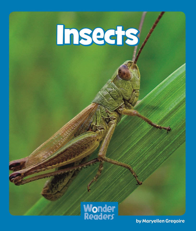 Insects (Wonder Readers Emergent Level) book cover by Maryellen Gregoire