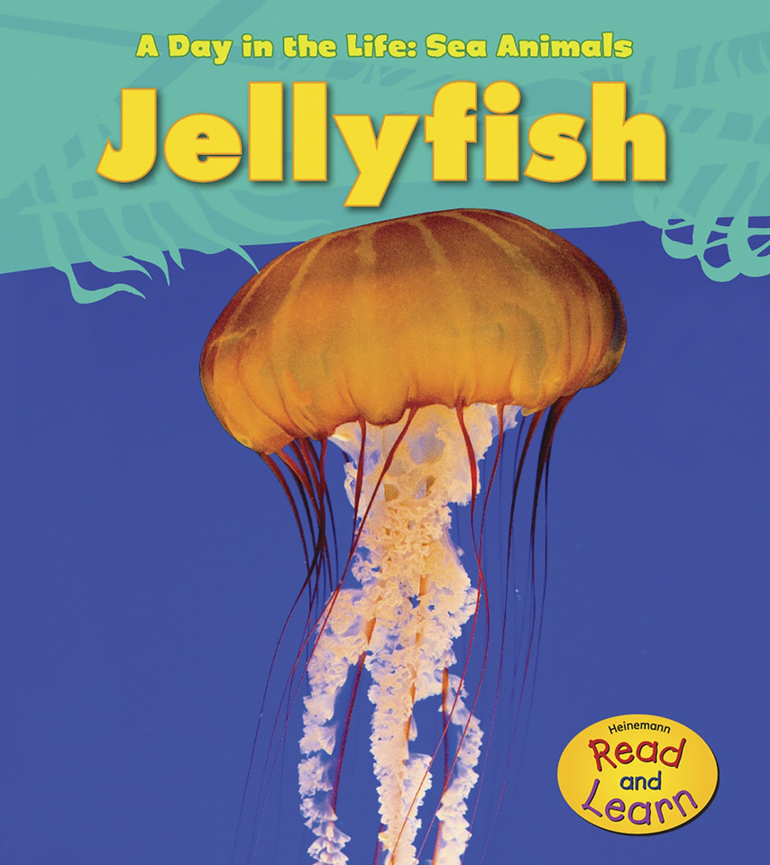Jellyfish (A Day in the Life: Sea Animals) book cover by Louise Spilsbury
