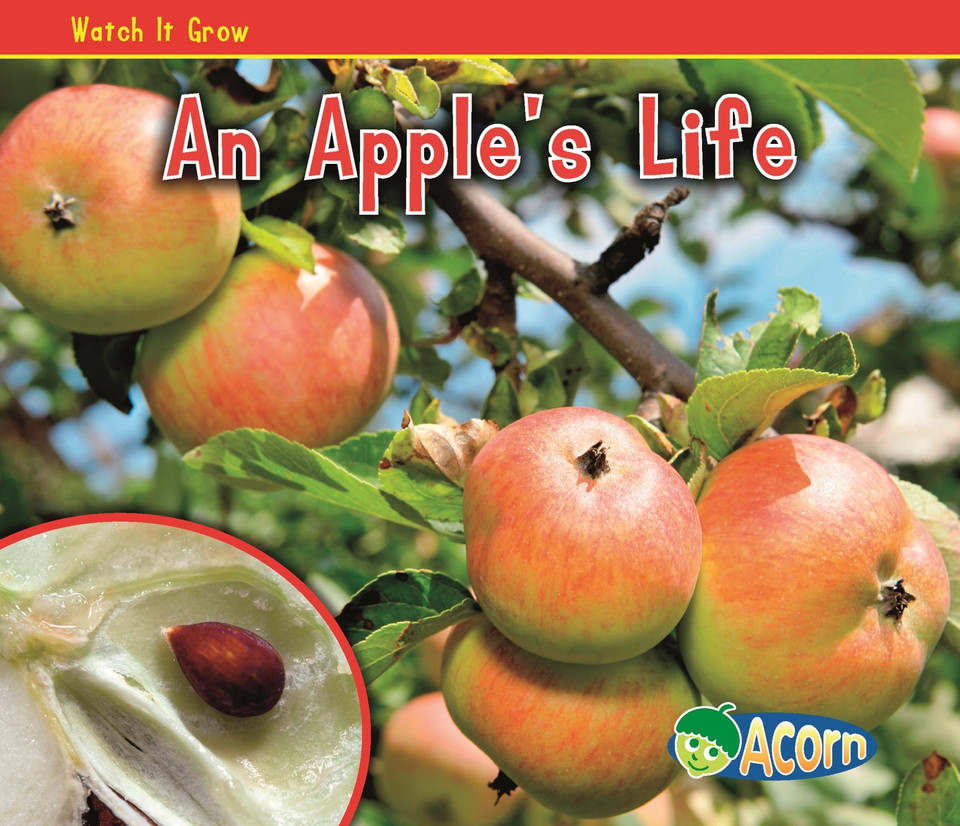 An Apple's Life (Watch It Grow) book cover by Nancy Dickmann