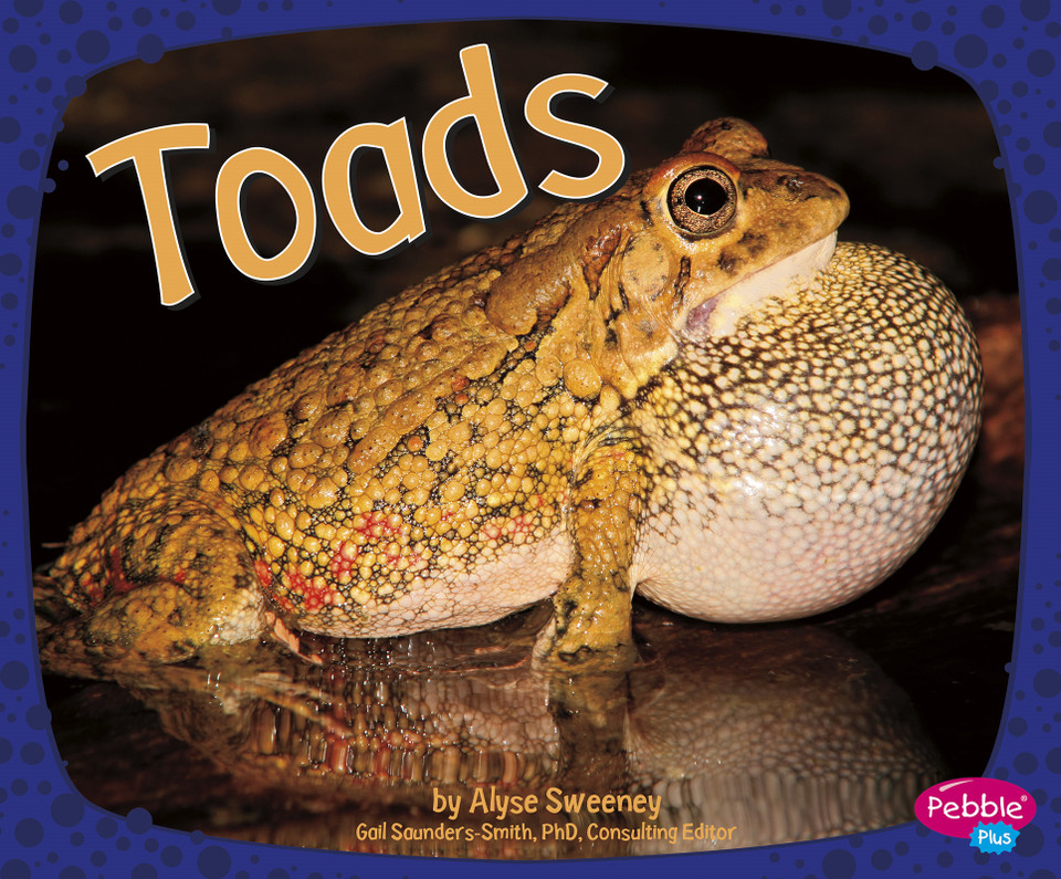 Toads (Amphibians) book cover by Alyse Sweeney