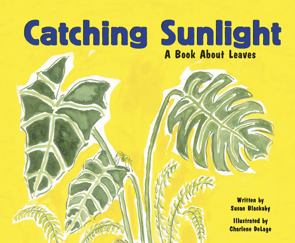 Catching Sunlight: A Book About Leaves (Growing Things) book cover by Susan Blackaby