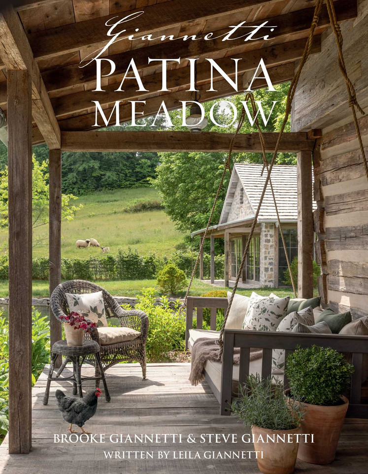 Patina Meadow (Patina) book cover by Steve Giannetti, Brooke Giannetti, Leila Giannetti, Leila Rose Giannetti