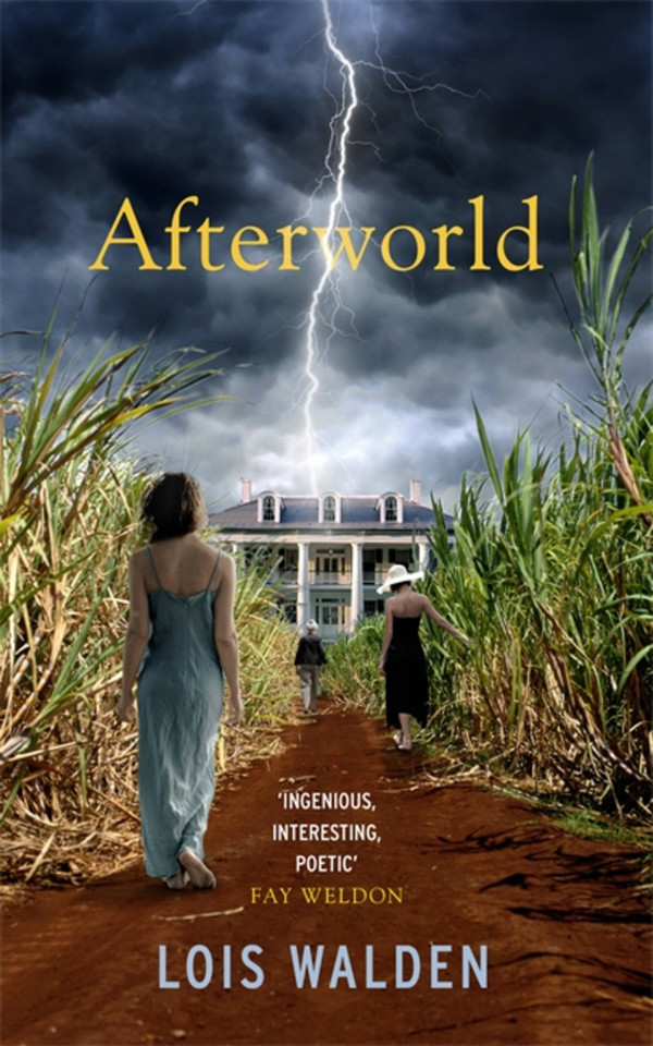 Afterworld book cover by Lois Walden