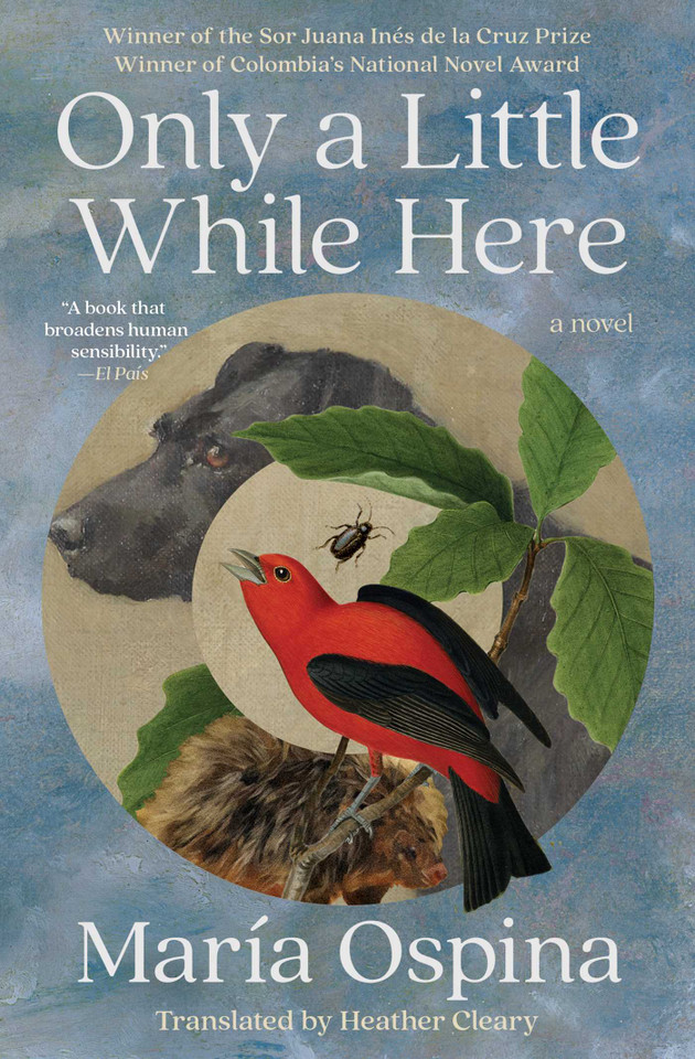 Only a Little While Here: A Novel book cover by María Ospina