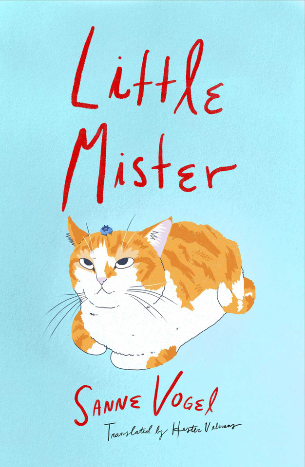 Little Mister: A Novel book cover by SANNE VOGEL
