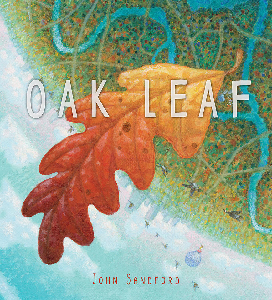 Oak Leaf: A Picture Book book cover by John Sandford