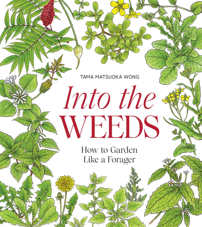 Into the Weeds: How to Garden Like a Forager book cover by Tama Matsuoka Wong