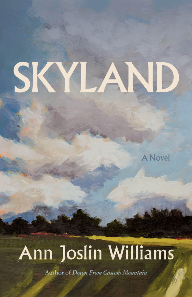 Skyland: A Novel book cover by Ann Joslin Williams