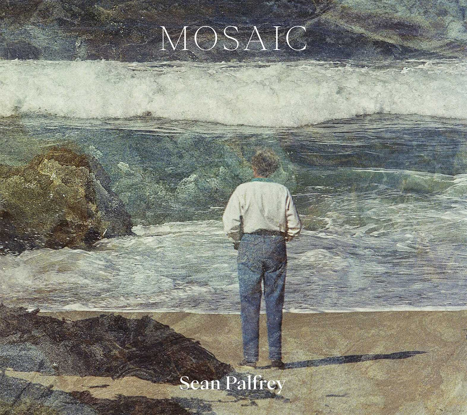 Mosaic (Sean Palfrey Photography Series) book cover by Sean Palfrey
