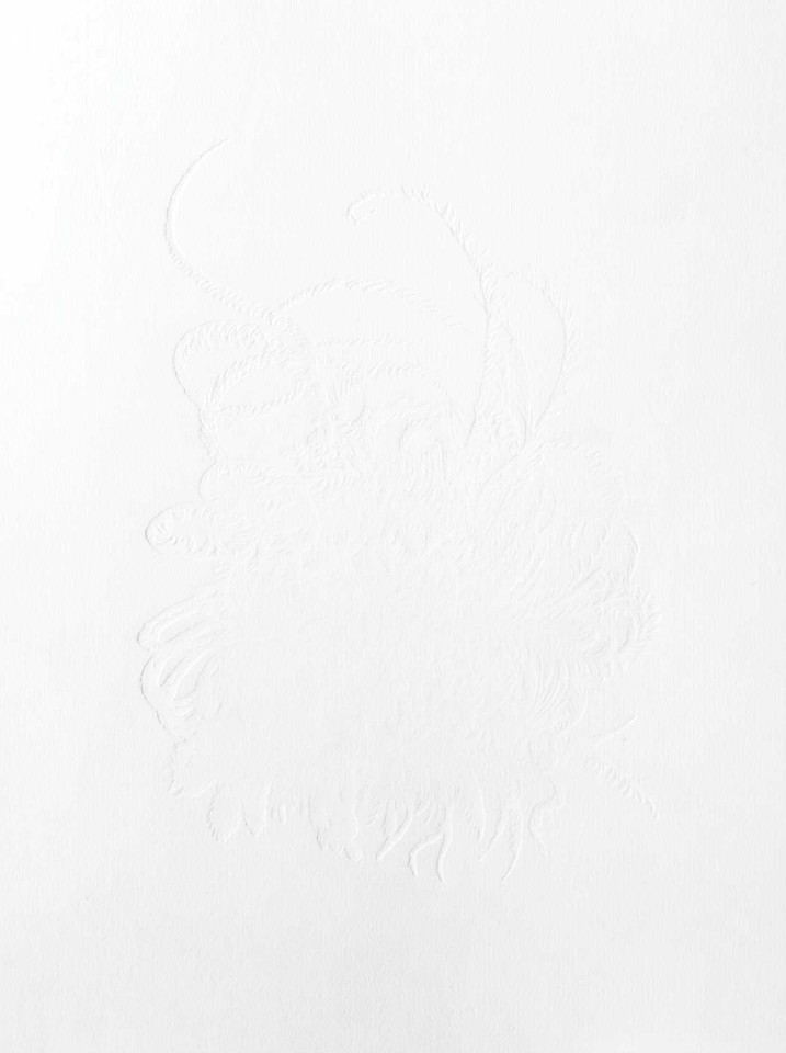 VIVID: Joke Raes book cover by 