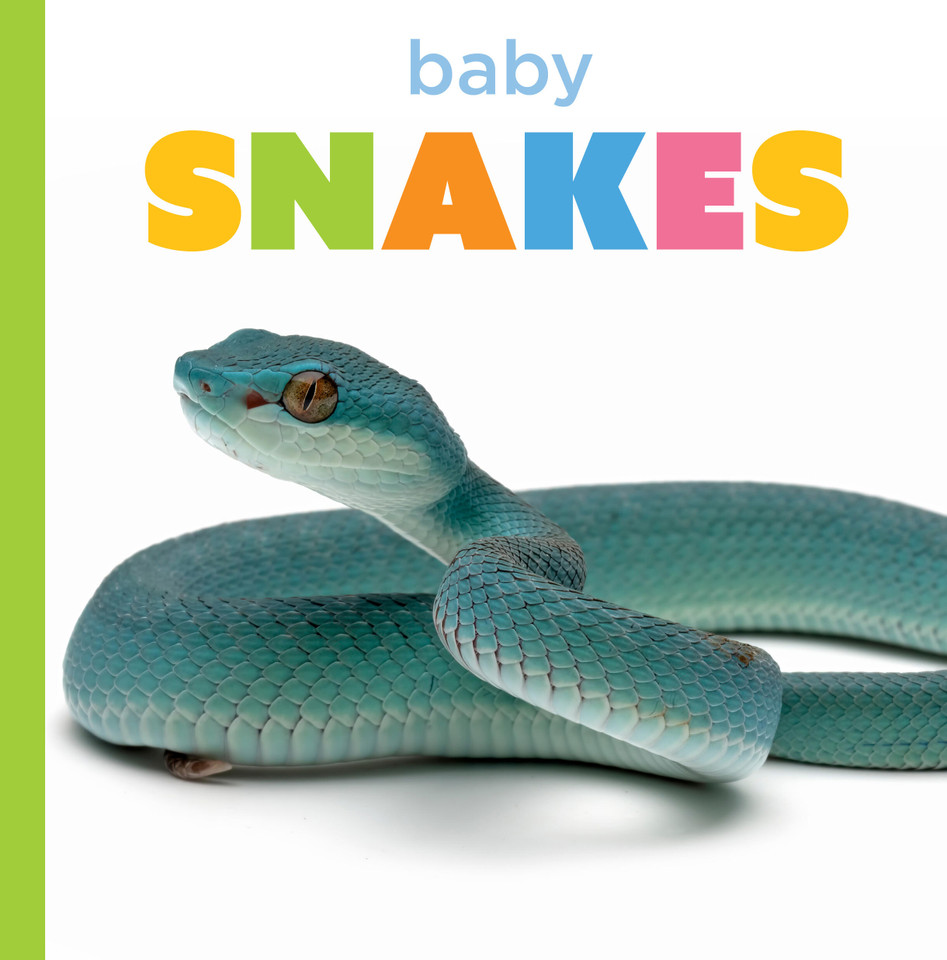 Baby Snakes (Starting Out) book cover by Graham Morgan