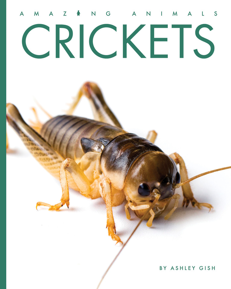 Crickets (Amazing Animals) book cover by Ashley Gish