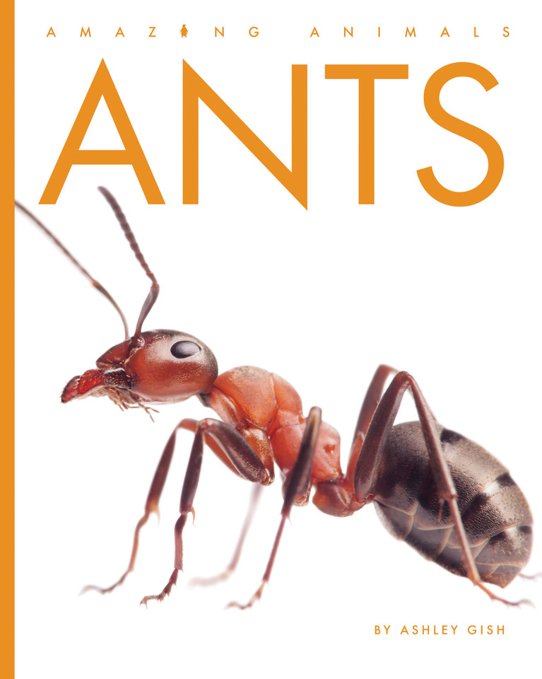 Ants (Amazing Animals) book cover by Ashley Gish