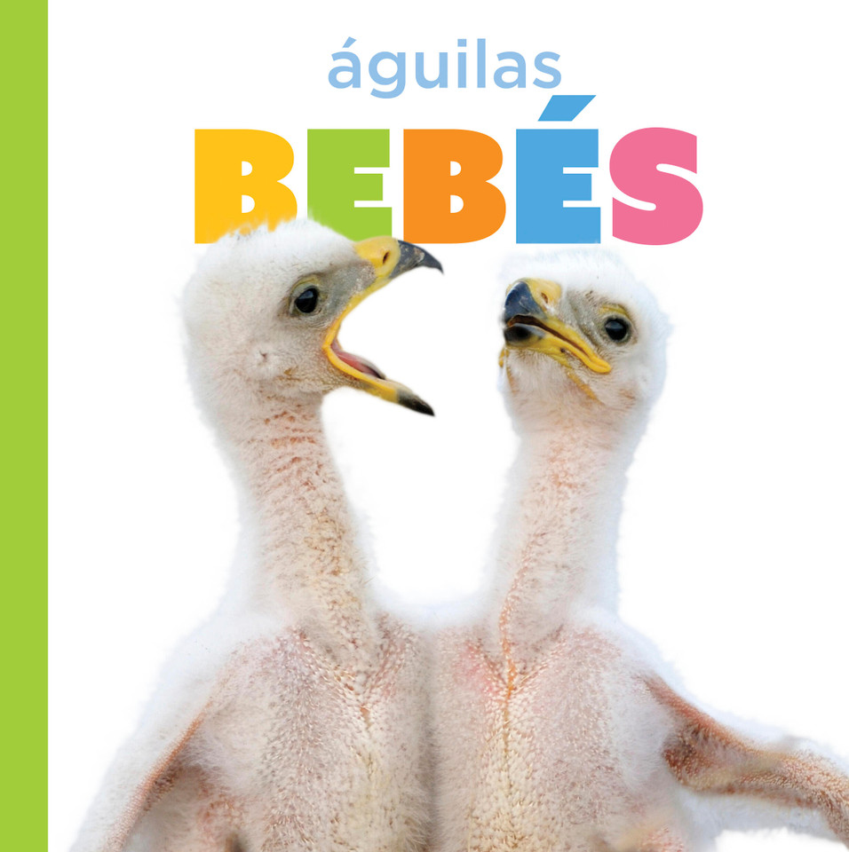 Águilas bebés book cover by Graham Morgan