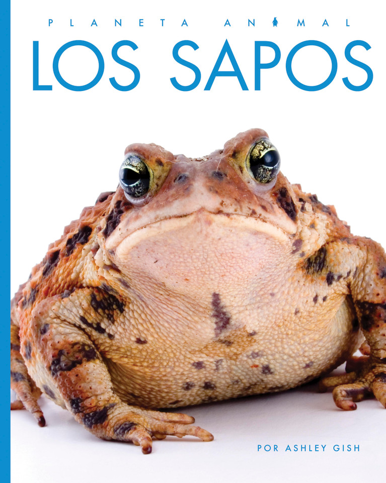 Los sapos book cover by Ashley Gish