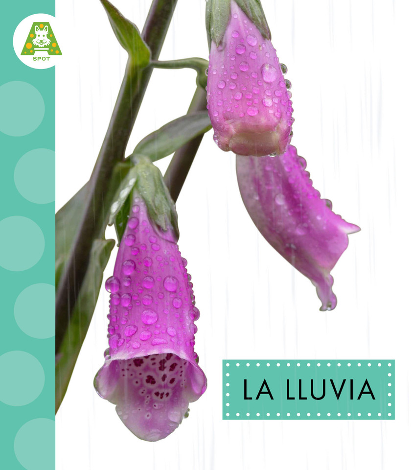 La lluvia book cover by Anastasia Suen
