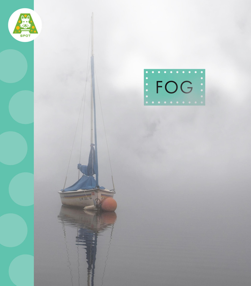 Fog book cover by Anastasia Suen