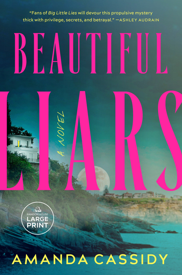 Beautiful Liars book cover by Amanda Cassidy