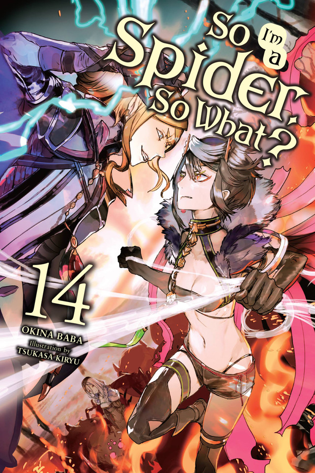 So I'm a Spider, So What?, Vol. 14 (light novel) (So I'm a Spider, So What? (light novel) #14) book cover by Okina Baba