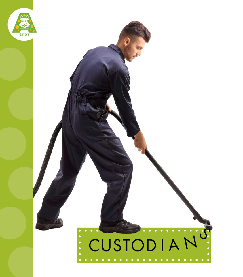 Custodians book cover by Ana Brauer