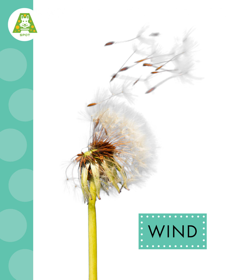 Wind book cover by Anastasia Suen