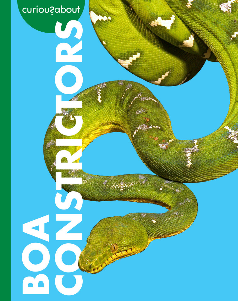 Curious about Boa Constrictors book cover by Rachel Grack